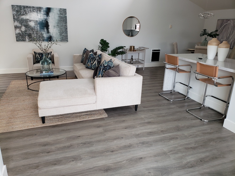 floors for living room san diego