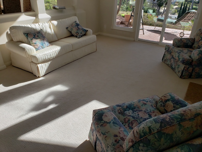 Living room carpet before