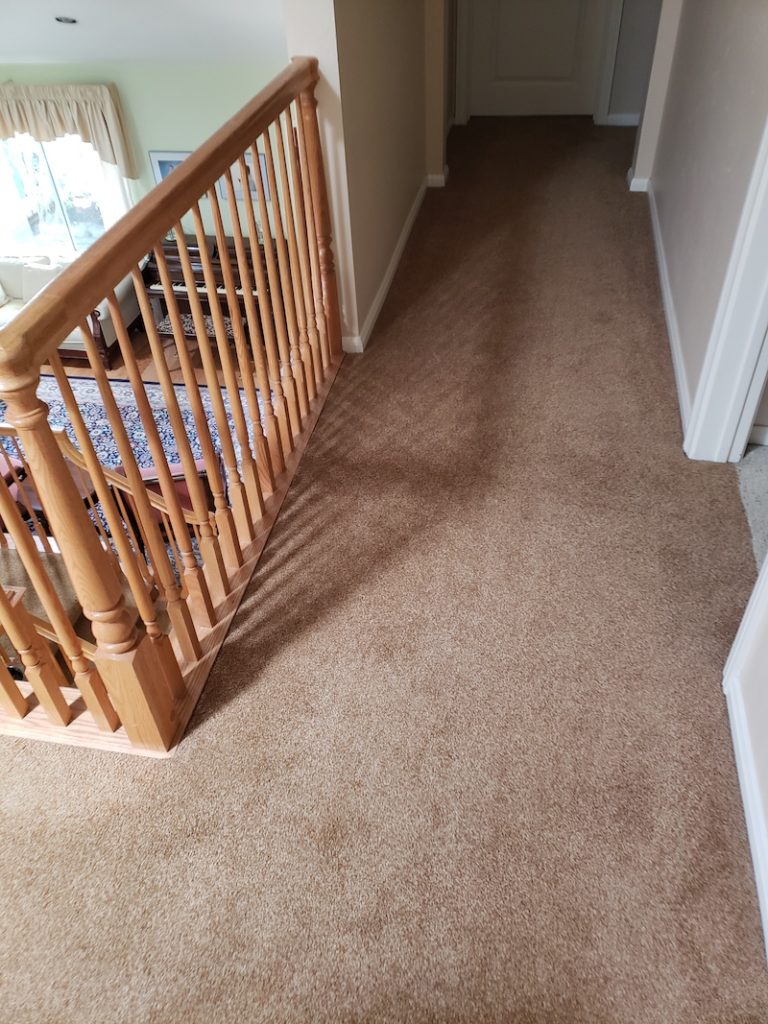 Replace Old Carpets