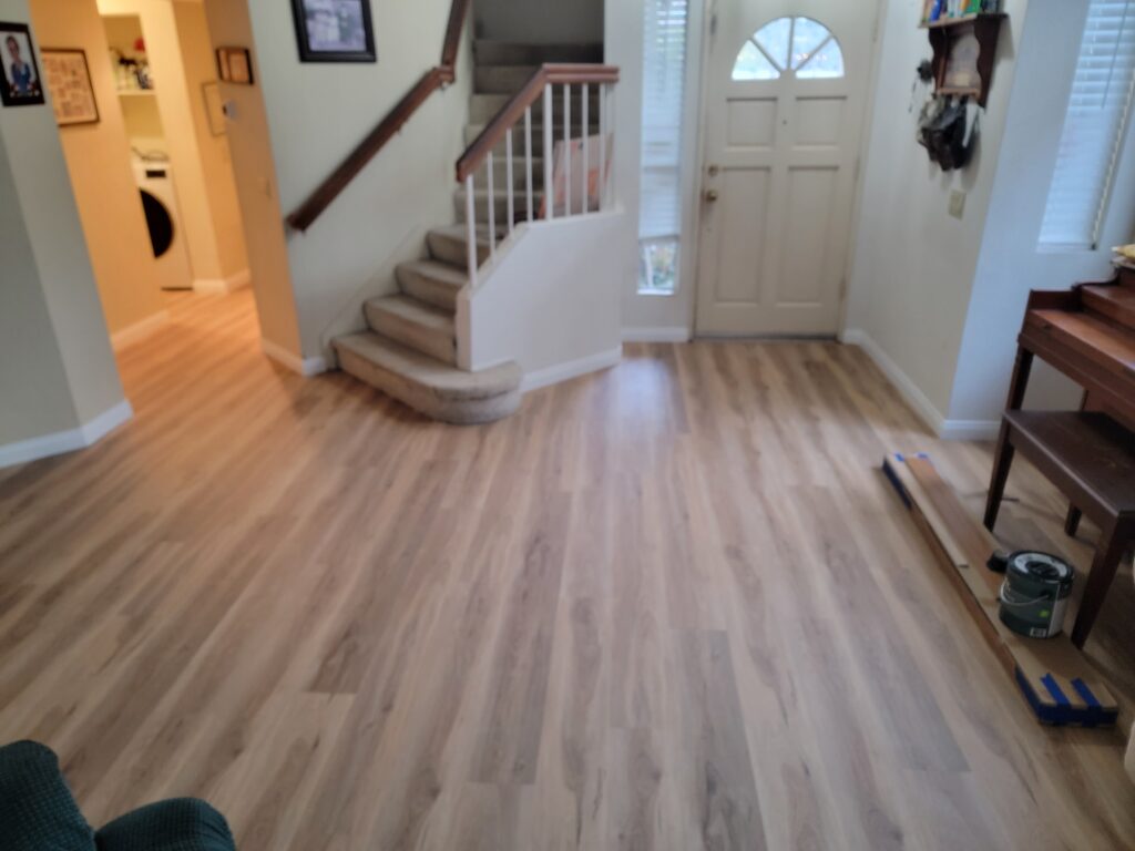 entry flooring after new vynil plank flooring