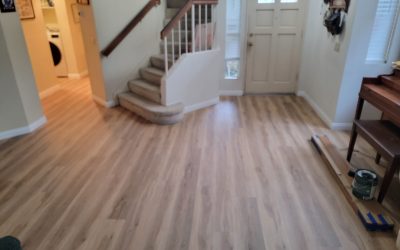 entry flooring after new vynil plank flooring