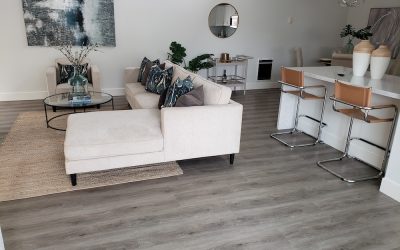 floors for living room san diego